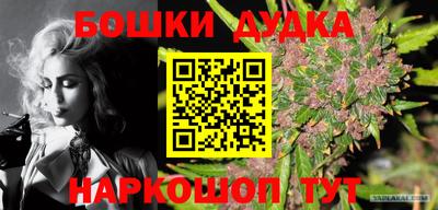 шишки Лесосибирск